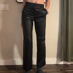 Aritzia Babaton Black Leather Pants